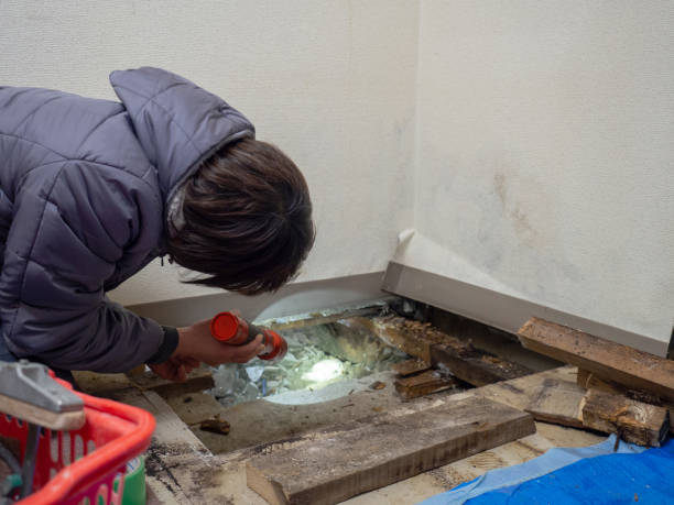 Best Asbestos and Lead Testing During Mold Inspection  in Rk Forest Village, PA
