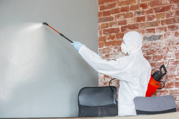 Best Attic Mold Removal  in Rk Forest Village, PA