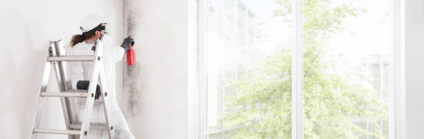 Best Mold Damage Restoration  in Rk Forest Village, PA